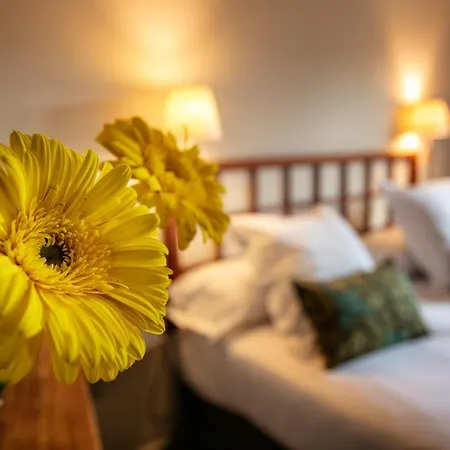Cal Compte Priorat Bed & Breakfast Torroja